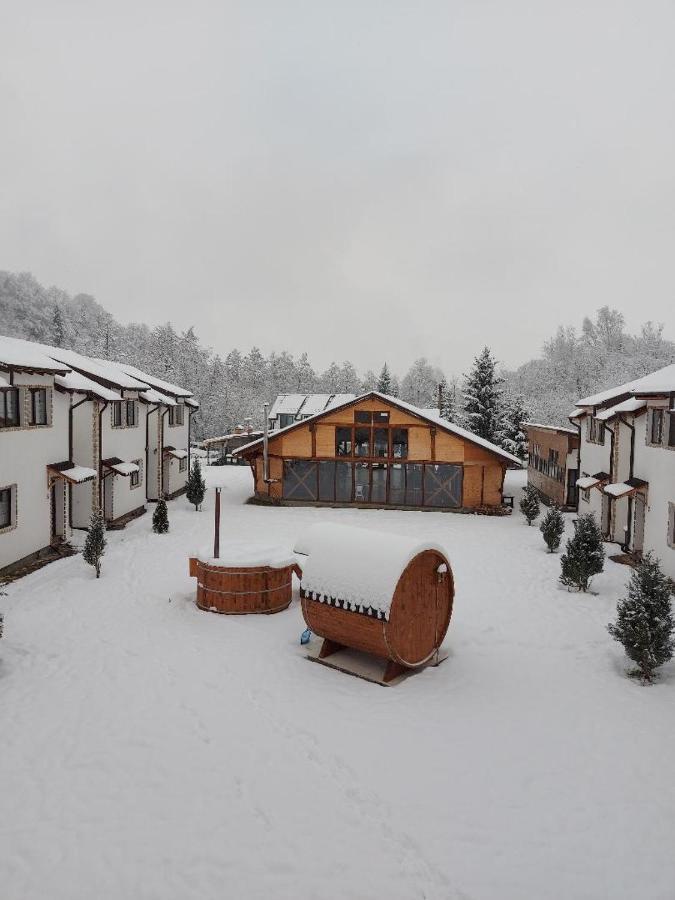 Domeniul Roa Avrig Exterior foto